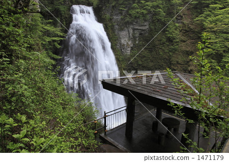 Spring street Otaki 1471179