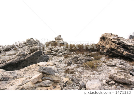 Kisan sanctuary 1471383