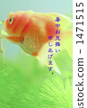 Goldfish   1471515