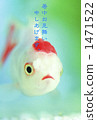 Goldfish   1471522