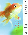 Goldfish   1471523