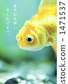 Goldfish   1471537