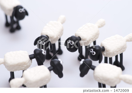 Sheep's well-end meeting Sheep's well-end meeting 1472009