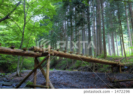 Okutama的HDR圖像 Okutama的HDR圖像 1472296