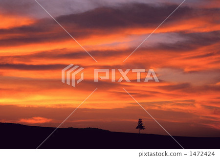 A lonely sunset A lonely sunset 1472424