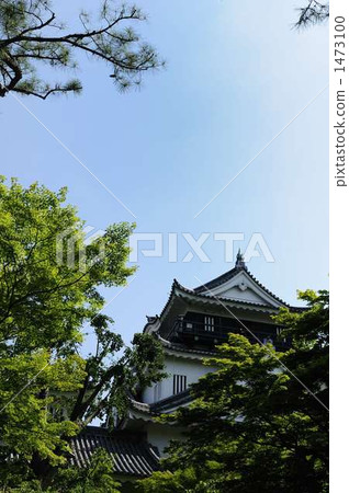 Tokugawa Ieyasu 1473100