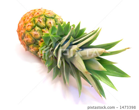 pineapple  1473398