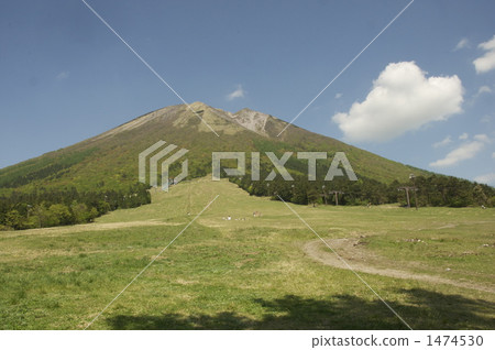 Oyama和Aozora 1474530