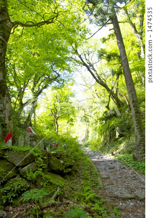 充滿綠意的懷舊森林 充滿綠意的懷舊森林 1474535