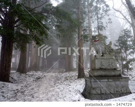 Togakushi Shrine Kagami Gate 2 Togakushi Shrine Kagami Gate 2 1474729