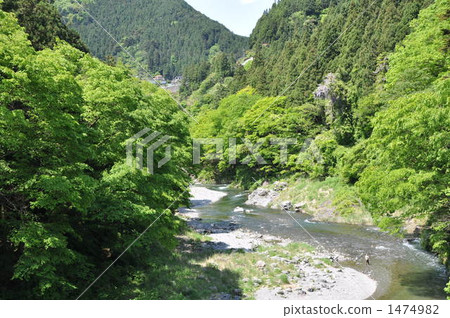 Fried green valleys of fresh green Fried green valleys of fresh green 1474982