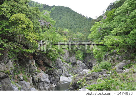 Fried green valleys of fresh green Fried green valleys of fresh green 1474983