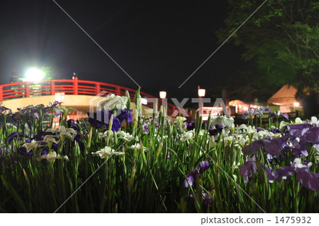 紅色橋樑 愛麗思花園 高架橋 1475932