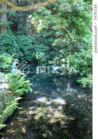 Shioi公司水源 1476339