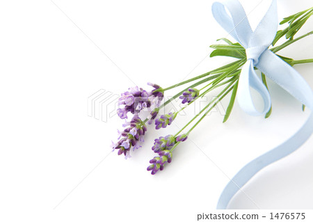 Bouquet of lavender light blue ribbon 1476575