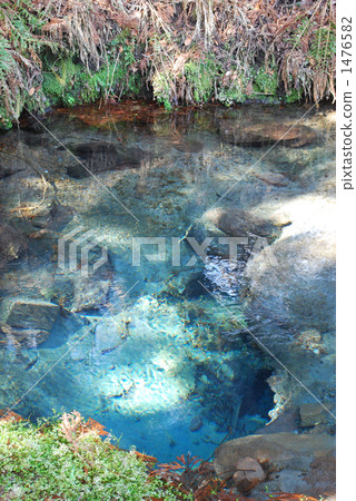 Men's pond name water 100 1476582