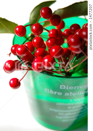coralberry, fruit, decoration 1477207