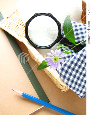 準備植物觀察和獨立研究—用放大鏡和筆記本學習的時光 準備植物觀察和獨立研究—用放大鏡和筆記本學習的時光 1478098