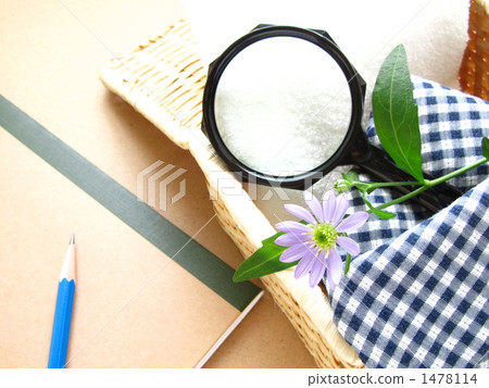 Preparing for a science project – Observing plants with a magnifying glass and notebook Preparing for a science project – Observing plants with a magnifying glass and notebook 1478114