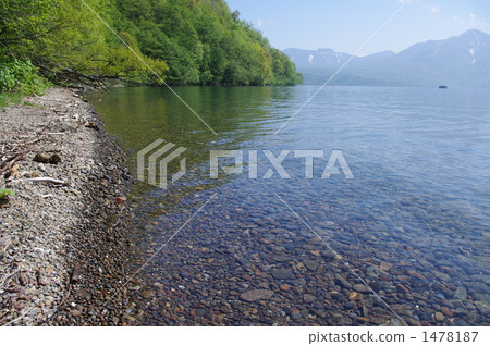 Fresh green Lake Shikotsu 1478187
