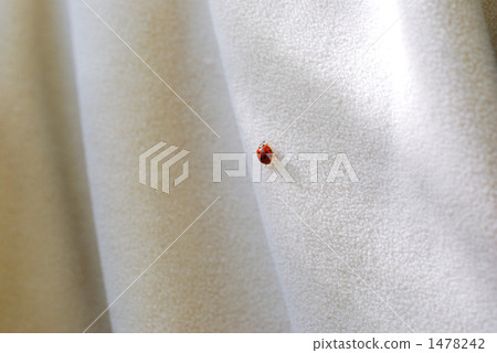 Namitento 1478242