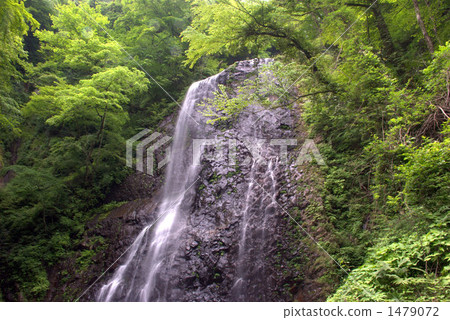 White boar waterfall White boar waterfall 1479072