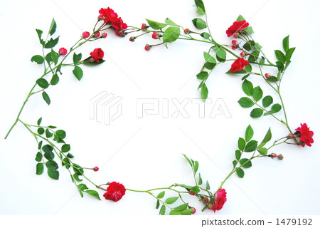 flower arrangement, frame, cut flowers 1479192