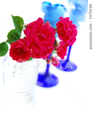 rose, roses, postcard 1479198