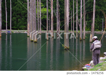 管理捕魚點的飛行員 1479256