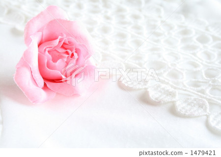 rose, roses, lace 1479421