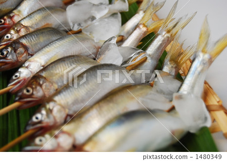 香魚 淡水魚 串燒 1480349