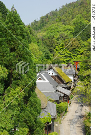 新鮮的綠色Oku佐賀 1480728