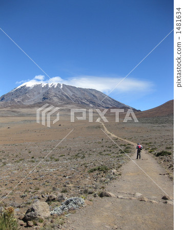 乞力馬扎羅山 山路 登山 1481634