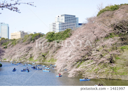 千島淵 千代田區 東京風景 1481997
