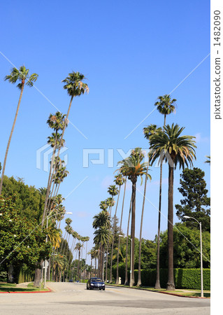 The streets of Beverly Hills 1 1482090