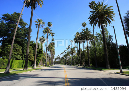 Beverly Hills Townscape 2 Beverly Hills Townscape 2 1482094