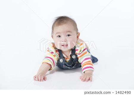 baby   1482490
