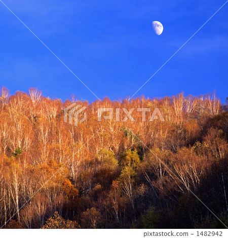 秋天的下午 1482942