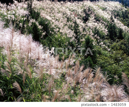 秋天 秋天 1483059