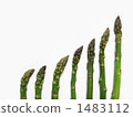 Asparagus 01 Asparagus 01 1483112