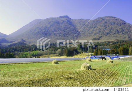 Kujyu Kurokodake Kujyu Kurokodake 1483211