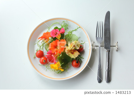 沙拉圖片H. 1483213