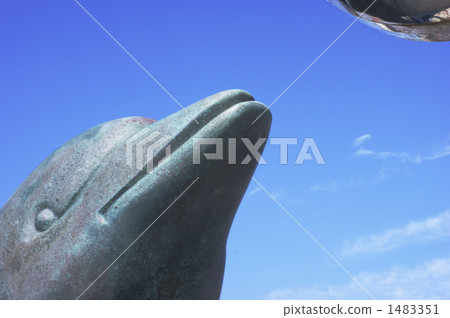 主題 題材 海豚 1483351