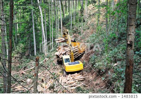 紅景天冷杉 重型機械 原木 1483815