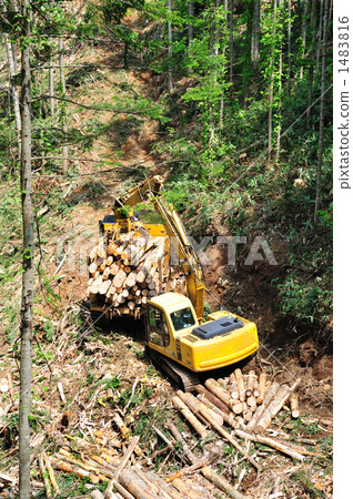 abies sachalinensis, grapple, heavy machinery 1483816