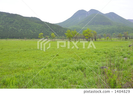 tender green, verdure, plateau 1484829