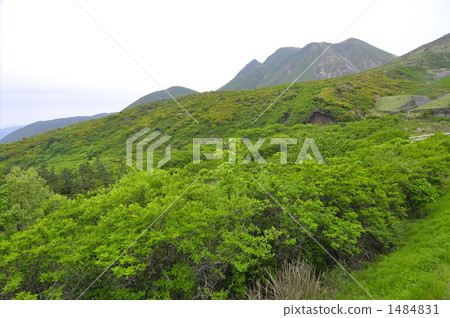 mimatayama mountain, bitterness, mortification 1484831