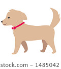 Dog 1485042