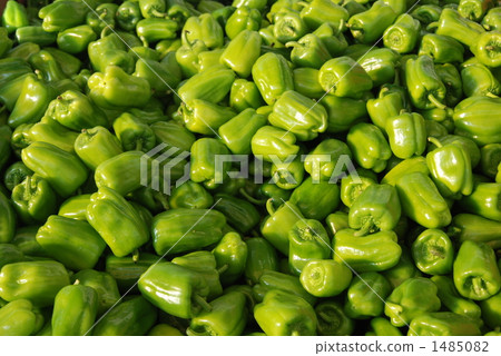 Morning market bell pepper Morning market bell pepper 1485082
