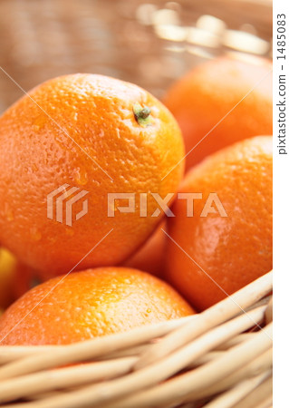 Basket Orange 1485083